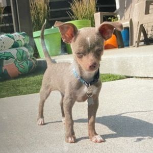 Meet your Posher, Brooke